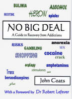 Jacket Image for No Big Deal