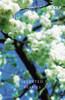Selected Diaries Jacket Image for Selected Diaries