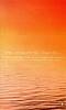 Wide Sargasso Sea