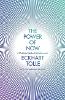 Jacket Image for The Power of Now