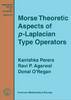 Jacket image for Morse Theoretic Aspects of P-Laplacian Type Operators