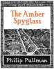 Jacket image for The Amber Spyglass