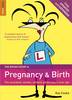 Jacket Image for The Rough Guide to Pregnancy and Birth