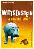 Introducing Wittgenstein
