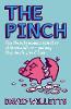 Jacket Image for The Pinch